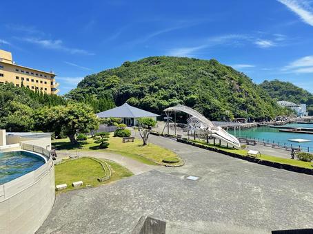 太地町立くじらの博物館 太地町立くじらの博物館 くじらの博物館,捕鯨の歴史,鯨類の写真素材