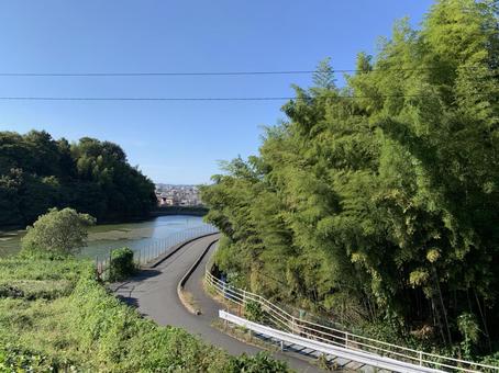 秋の散歩道の写真