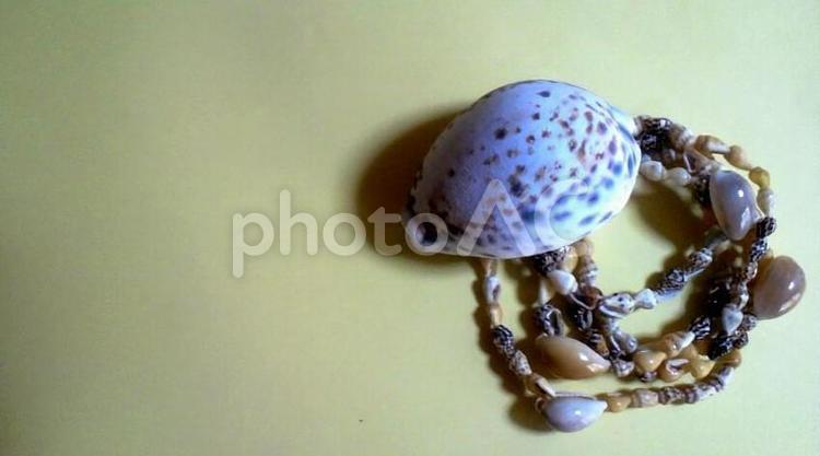 大きな貝殻と貝殻のネックレス 貝殻,かいがら,自然の写真素材