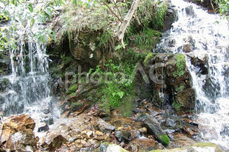 森の中の滝 水域,自然,滝の写真素材