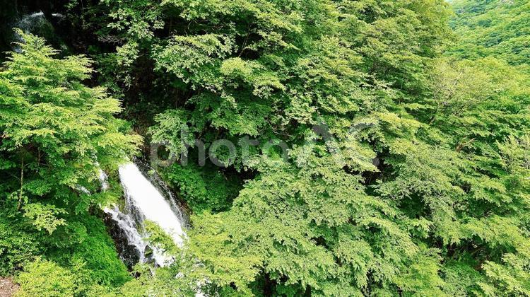 栃木県日光市の涅槃の滝 涅槃の滝,滝,山の写真素材