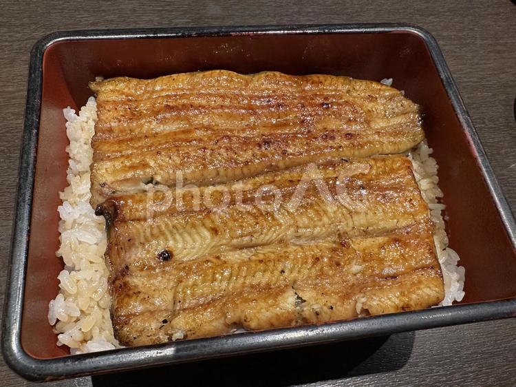 うな重 うな重,うなぎ,鰻重の写真素材