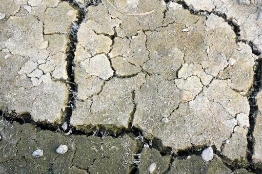 夏の暑さで干上がった田畑 夏の暑さで干上がった田畑 干ばつ,ひび割れ,大地の写真素材