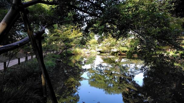 肥後細川庭園 肥後細川庭園 日本庭園,庭園,お庭の写真素材