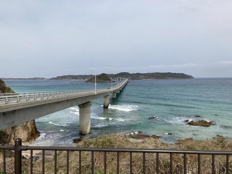 角島大橋 角島大橋 海,角島,角島大橋の写真素材