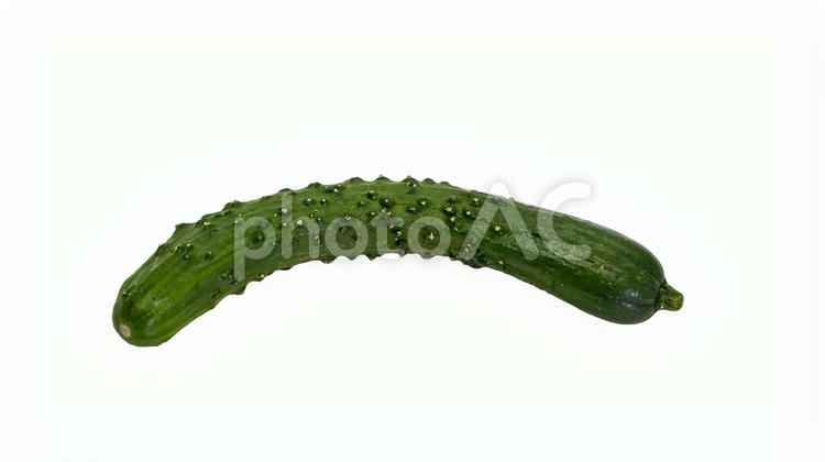 新鮮なもぎりきゅうり　白背景　マクロ撮影 きゅうり,もぎりきゅうり,野菜の写真素材