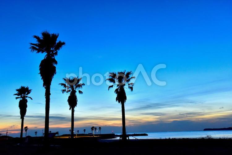 銚子の屛風ヶ浦海岸の夕暮れ 夕暮れ,海岸,海の写真素材