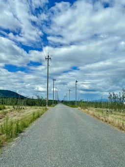 青い空と一本道が続く夏の田舎 青い空と一本道が続く夏の田舎 田舎道,一本道,夏の写真素材