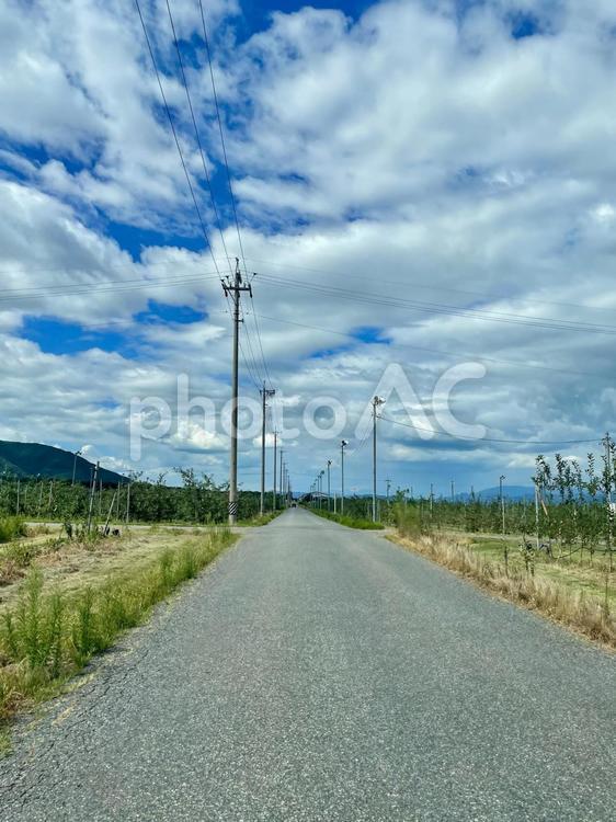青い空と一本道が続く夏の田舎 田舎道,一本道,夏の写真素材