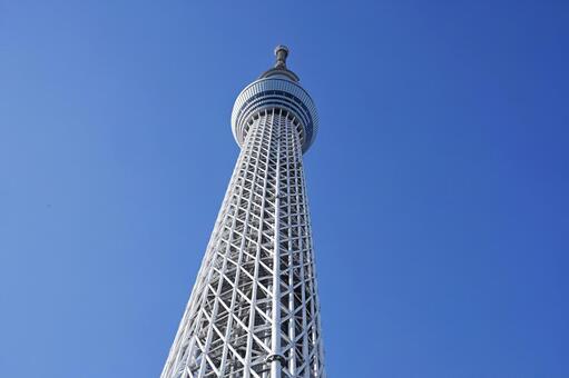 そびえ立つスカイツリー 東京スカイツリー,スカイツリー,ランドマークの写真素材