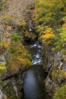 秋の磊々峡⑴の写真