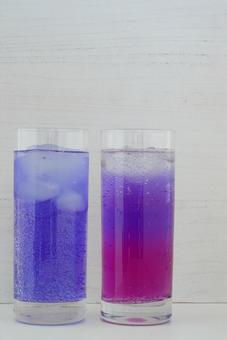 Butterfly pea, trà xanh, trà thảo mộc, đậu bướm, JPG