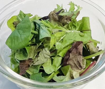 ベビーリーフ ベビーリーフ ベビーリーフ,野菜,サラダの写真素材