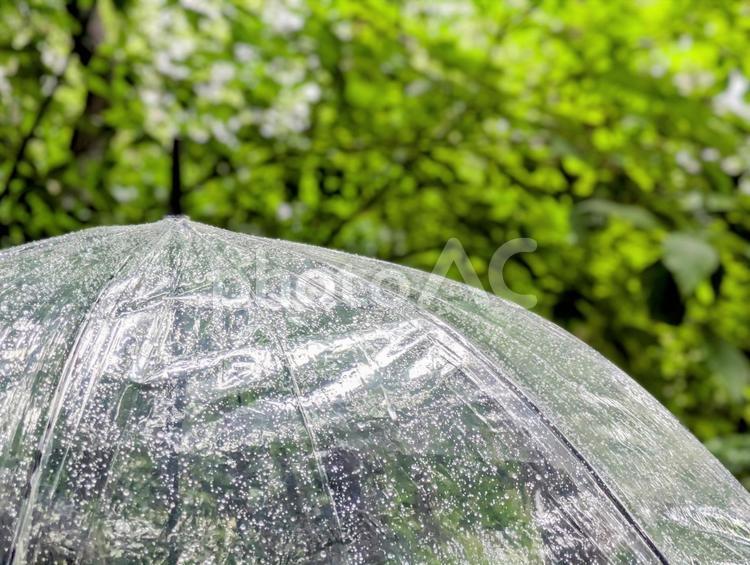 雨の日の風景2 雨,雨傘,雨粒の写真素材