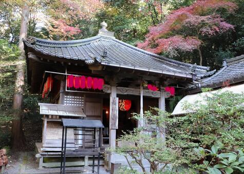 赤山禅院　福禄寿殿 赤山禅院,福禄寿殿,せきざんぜんいんの写真素材
