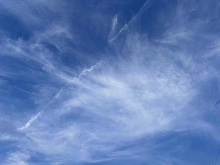 【風景写真】夏空 【風景写真】夏空の写真