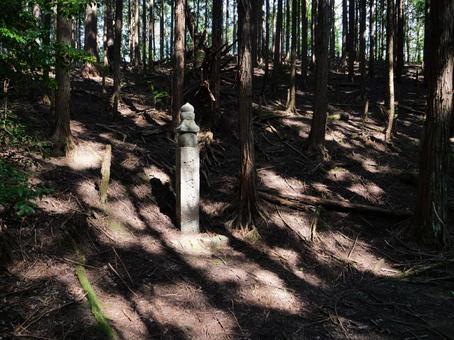 高野山 町石道 高野山 町石道の写真