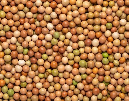 カラフル乾燥えんどう豆 カラフル乾燥えんどう豆の写真