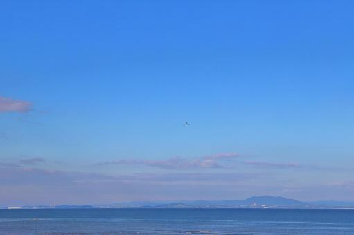 海　青空　雲　鳥の写真