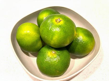 早生みかん１３ 早生みかん,みかん,早出しの写真素材