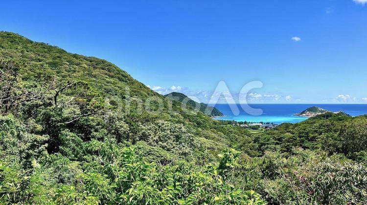 慶良間海峡展望所から見える渡嘉志久ビーチ 渡嘉志久,ビーチ,慶良間海峡展望所の写真素材