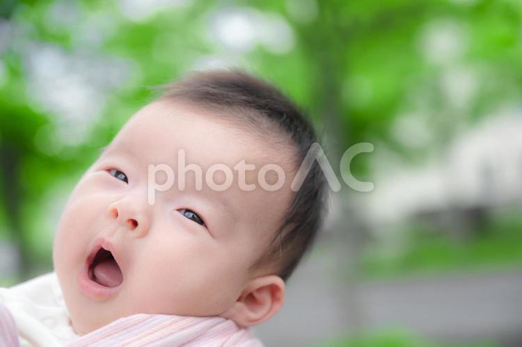 爽やかな木々と赤ちゃん(その４) 赤ちゃん,森,キャンプの写真素材