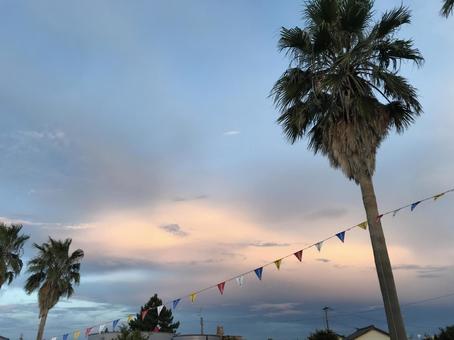 夕焼け 夕焼けの写真