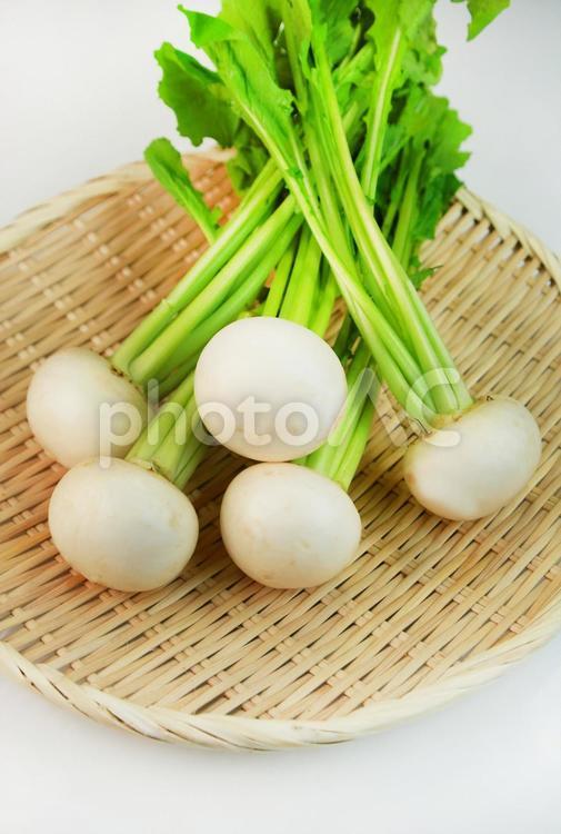 蕪 蕪,カブ,かぶの写真素材