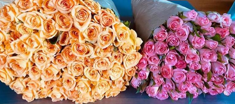 100本のかわいい薔薇 100本のかわいい薔薇の写真