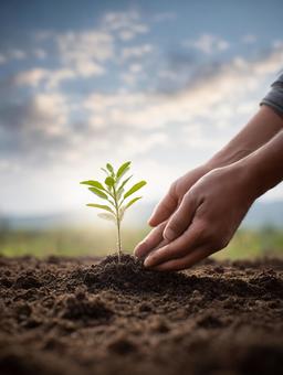 自然との共生:緑の苗木を植え付ける人々 自然との共生:緑の苗木を植え付ける人々の写真