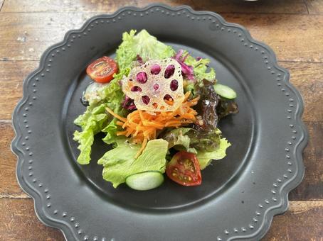 サラダ サラダ サラダ,蓮根,レタスの写真素材