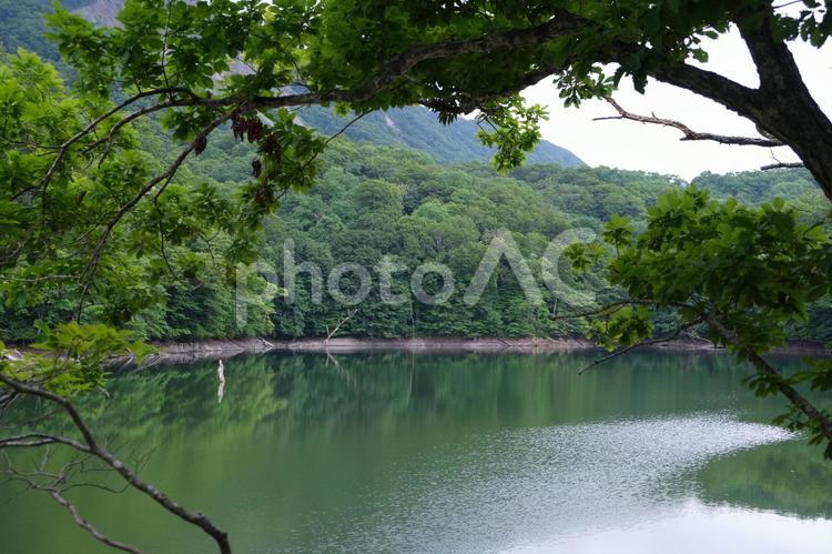 十二湖の風景 白神山地,十二湖,世界遺産の写真素材