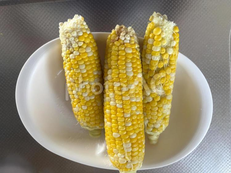 茹でたとうもろこし とうもろこし,茹でる,食べ物の写真素材