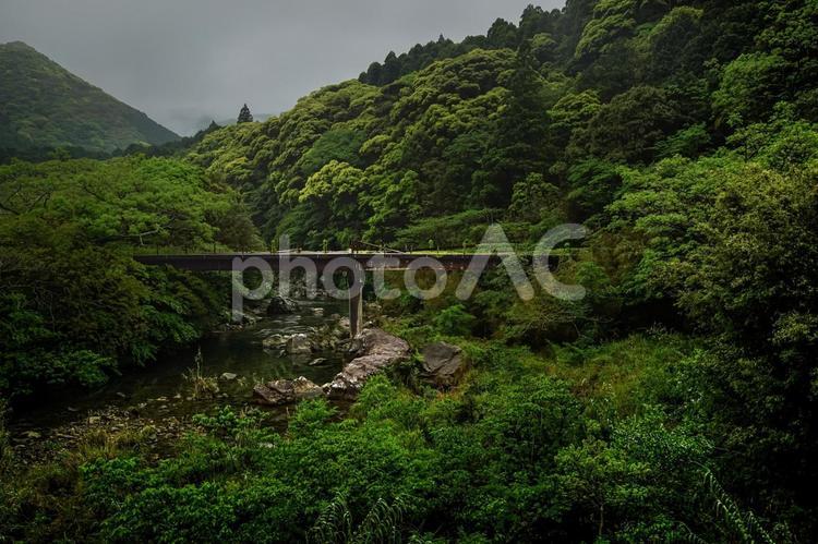 ＜五島の風景＞岐宿町河務付近の渓流と廃橋 橋,廃橋,川の写真素材