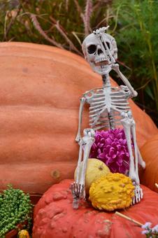 ハロウィン　ガイコツ ハロウィン,ガイコツ,骸骨の写真素材