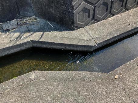 きれいな水を田んぼへ導く用水路 きれいな水を田んぼへ導く用水路の写真
