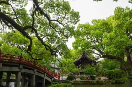 Scenery of Dazaifu Tenmangu Shrine, JPG