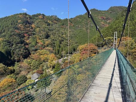 杣の大吊橋の紅葉の風景（八女市） 杣の大吊橋,杣,八女市の写真素材