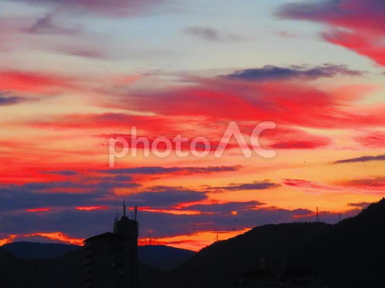 ７月下旬の野田池の夕暮れ 背景,夕暮れ,夕焼けの写真素材
