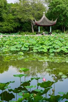 Photo, suzhou, tiger hill, tower, 