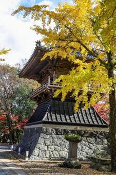 安勝寺　鐘楼と紅葉 安勝寺,紅葉,色づきの写真素材