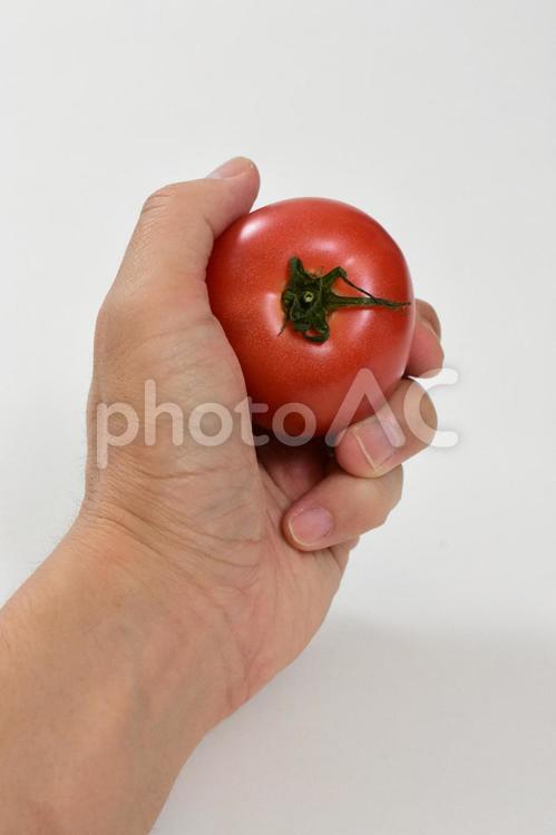 トマトを手で持つ トマト,とまと,野菜の写真素材