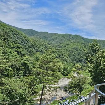山の麓の小川を見下ろす 山の麓の小川を見下ろす 山,河,川の写真素材