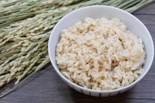 玄米ご飯 稲穂 玄米ご飯,稲穂,玄米の写真素材