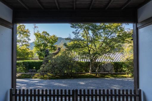 京都 大原三千院 客殿の玄関から 京都 大原三千院 客殿の玄関から 三千院,門跡寺院,大原の写真素材