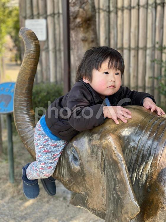 象の銅像にのる男の子 男の子,子供,子どもの写真素材