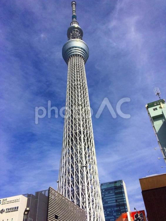 【風景写真】スカイツリーが見える風景 自然,景色,景観の写真素材