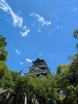 広島城天守閣 広島城天守閣 広島城,夏の空,天守閣の写真素材