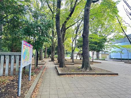 上野恩賜公園 台東区 公共施設 上野恩賜公園 台東区 公共施設 上野恩賜公園,上野公園,台東区の写真素材