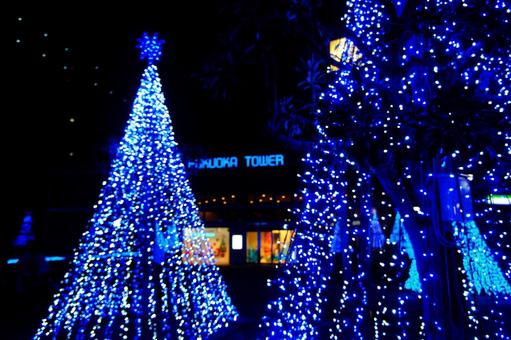 福岡タワー入口周辺のクリスマス飾り21 風景,日本,九州の写真素材